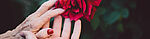 rose flower gap