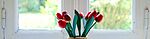 flower window homesick