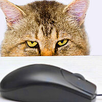 cat mouse computer tips