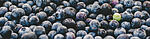 blueberries office snack