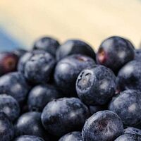 brain super-foods blueberries