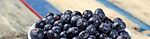 brain super-foods blueberries