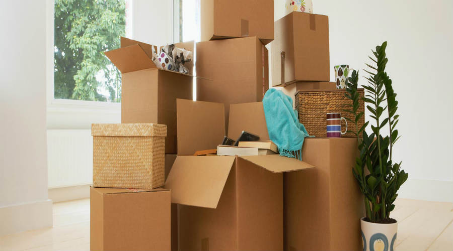 Graduate job relocation boxes